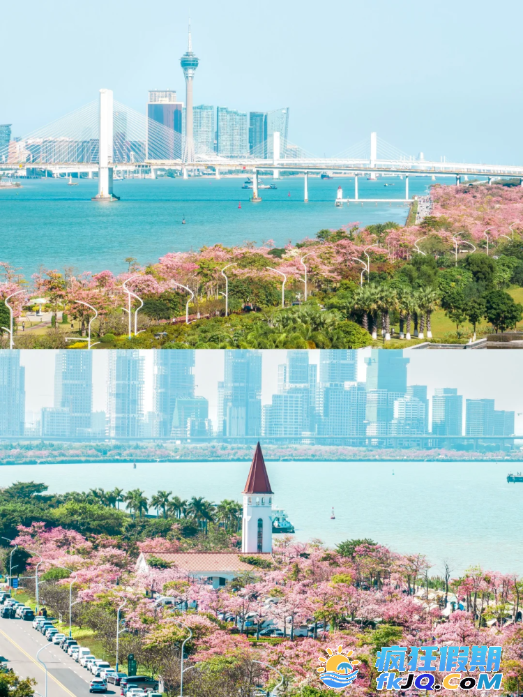 025横琴花海长廊赏花全指南 | 13.6公里花海，5大主题驿站深度解析